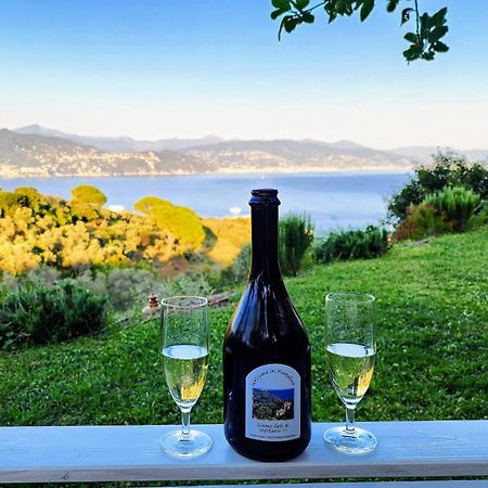 Agriturismo Terre Rosse Portofino Vila Exterior foto